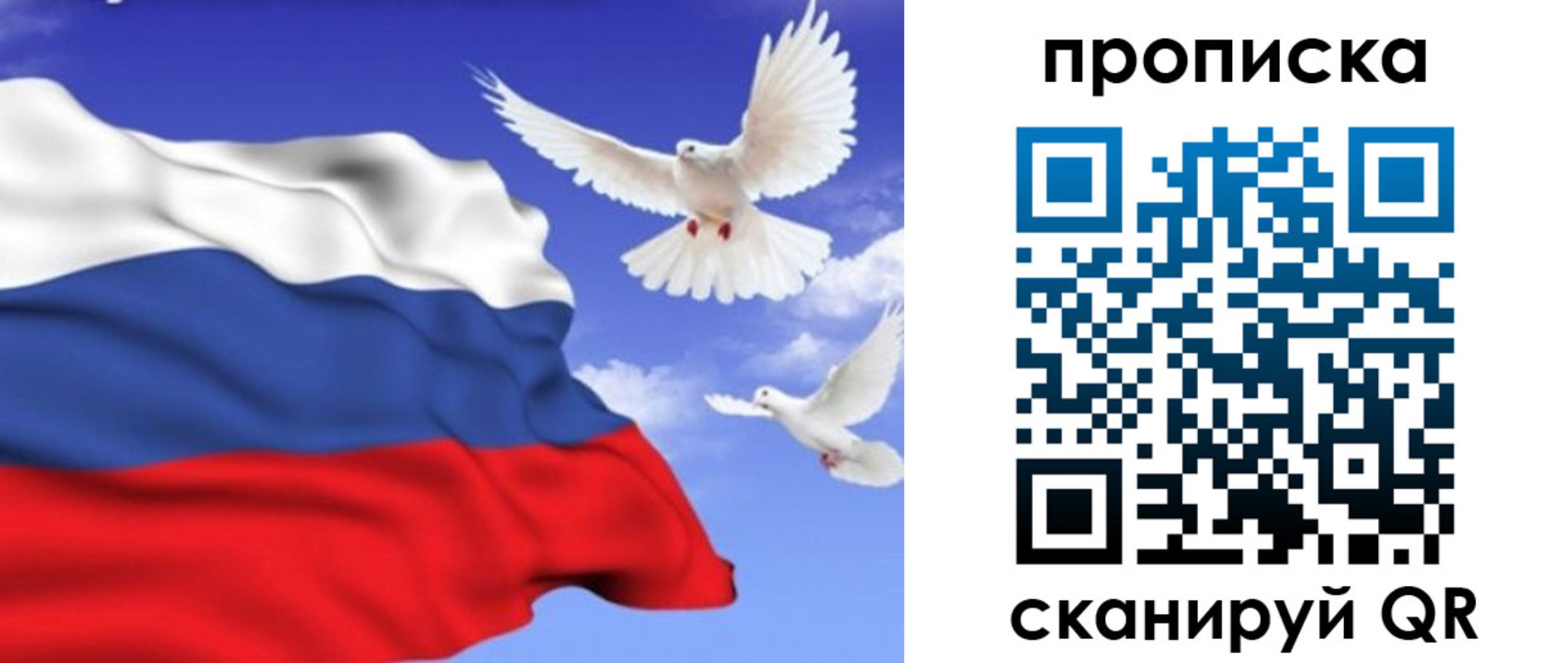 временная регистрация гарантия в Благовещенске